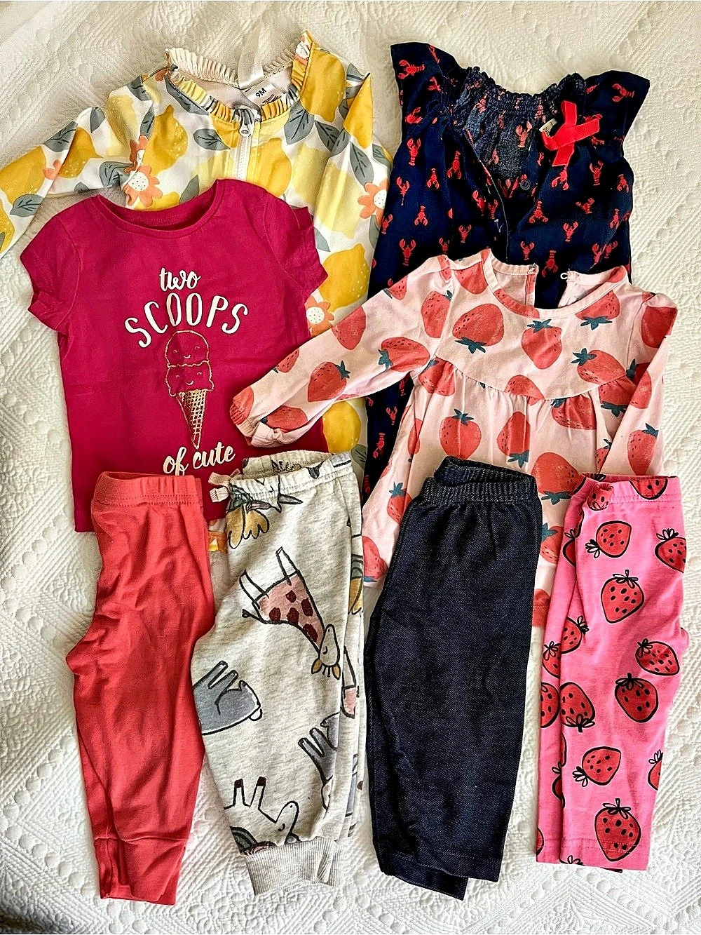 Carter's Baby 9M Floral Clothing bundle